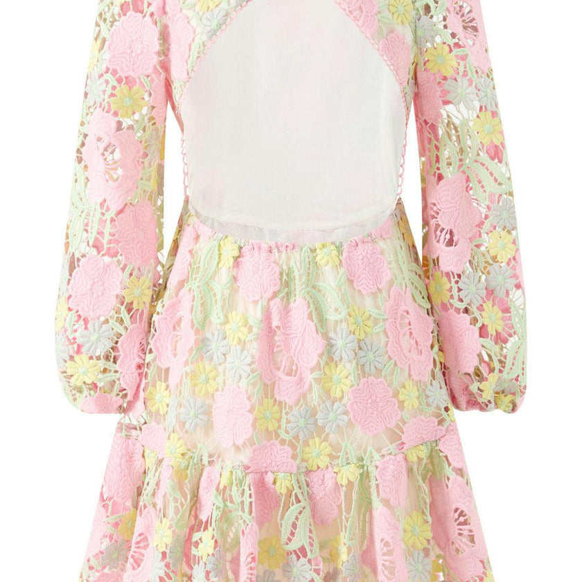 Estella Embroidered Mini Dress