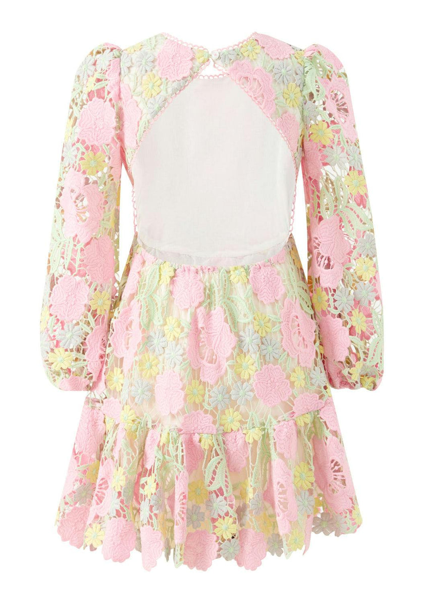 Estella Embroidered Mini Dress