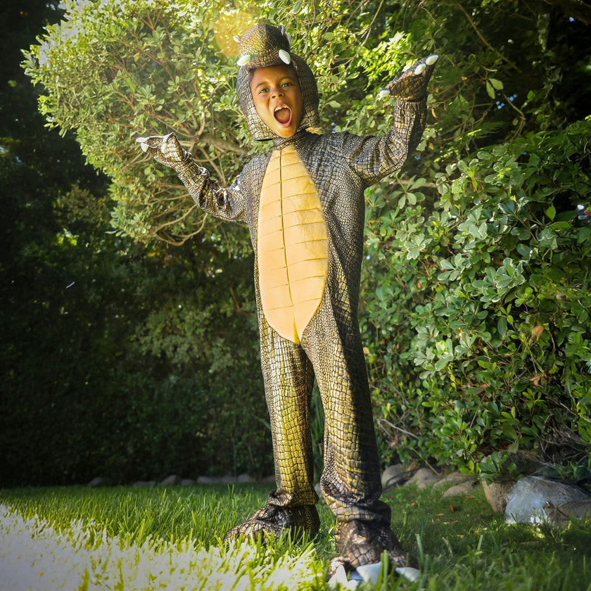 A Leading Role Premium Child T-Rex Dinosaur Dress Up