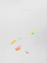 Butterflies.