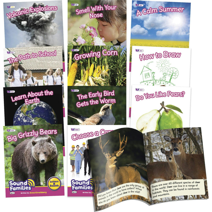 Decodable Readers Sound Families R-controlled Non-Fiction Phase 5.5