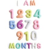 Milestone Felt Numbers in Pastel