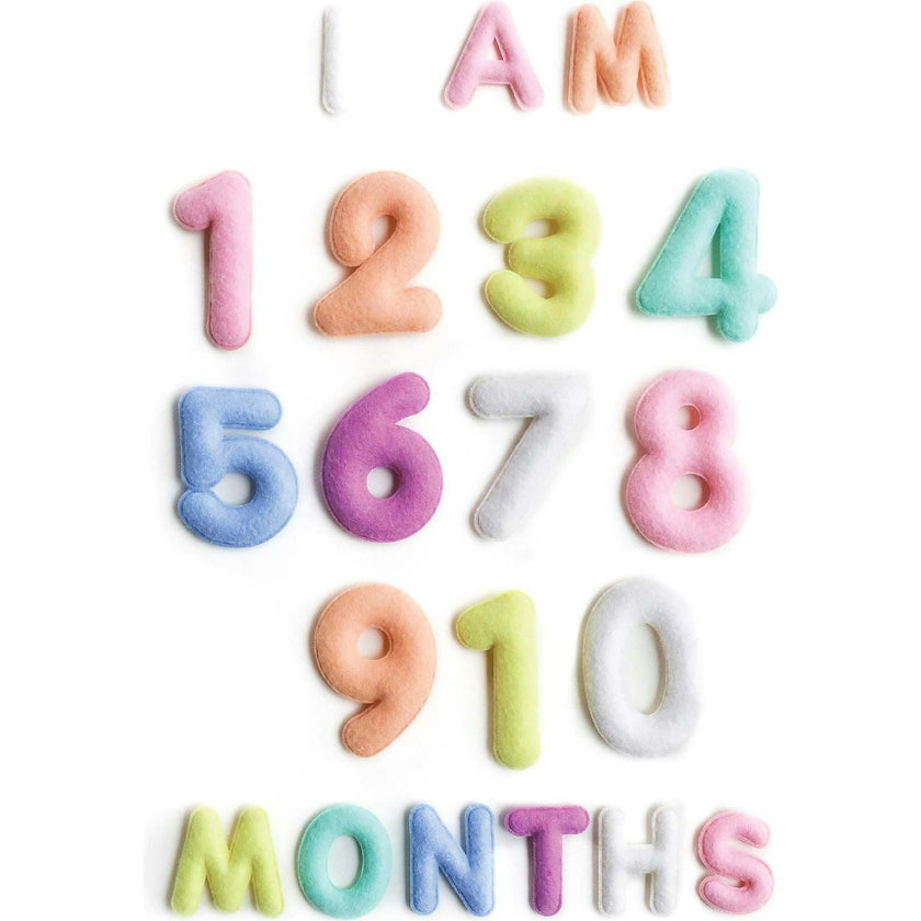 Milestone Felt Numbers in Pastel