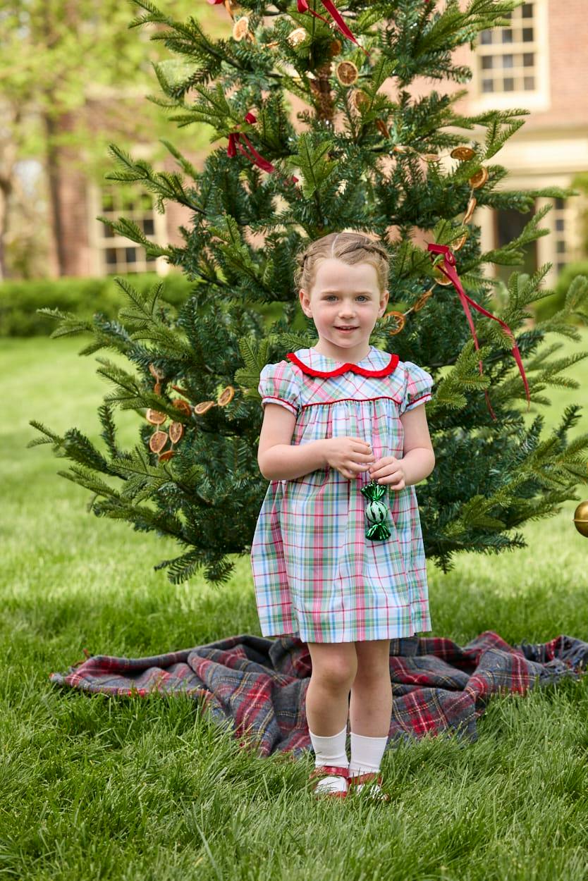 Eleanor Dress - Douglas Plaid