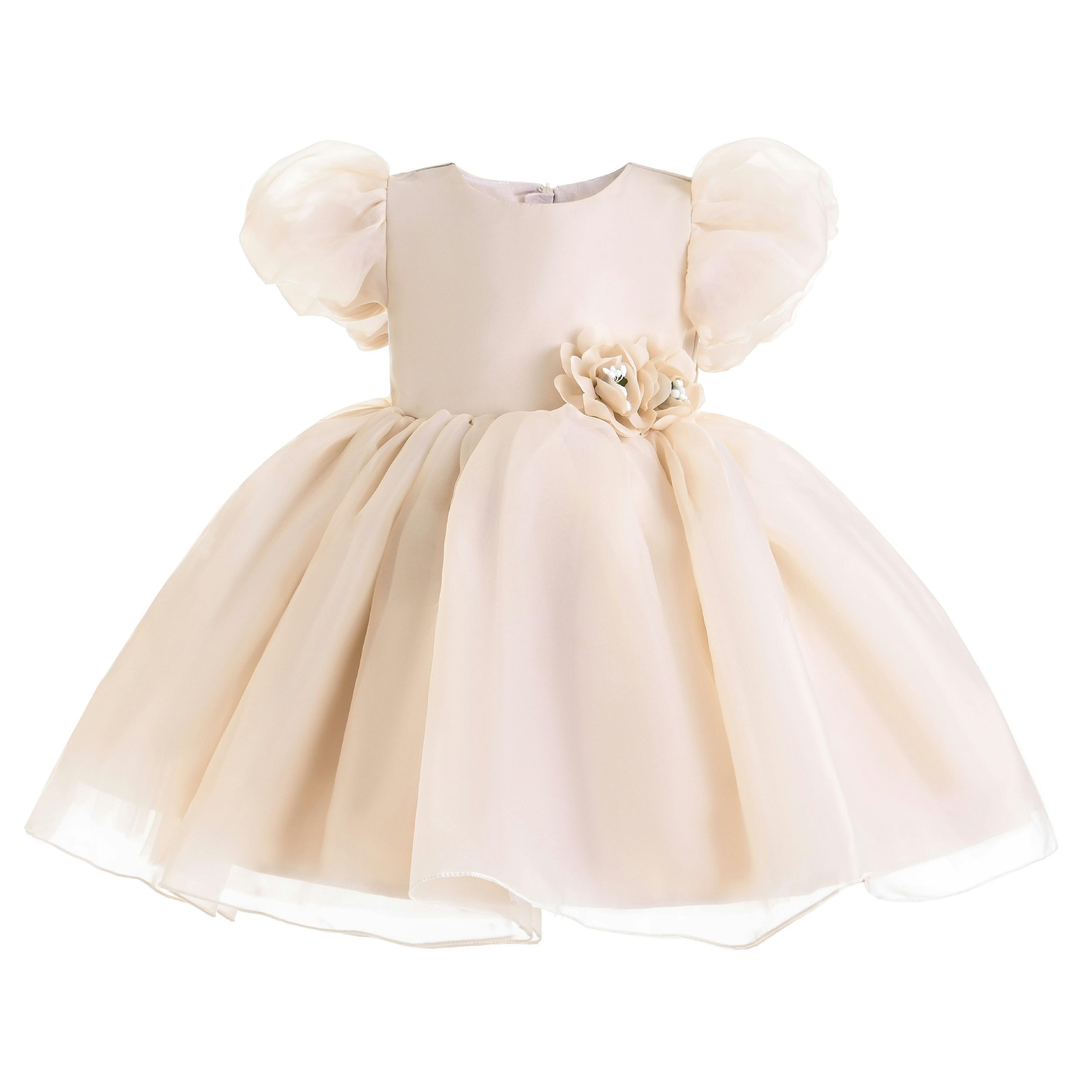 Champagne D'Amico Floral Teacup Dress