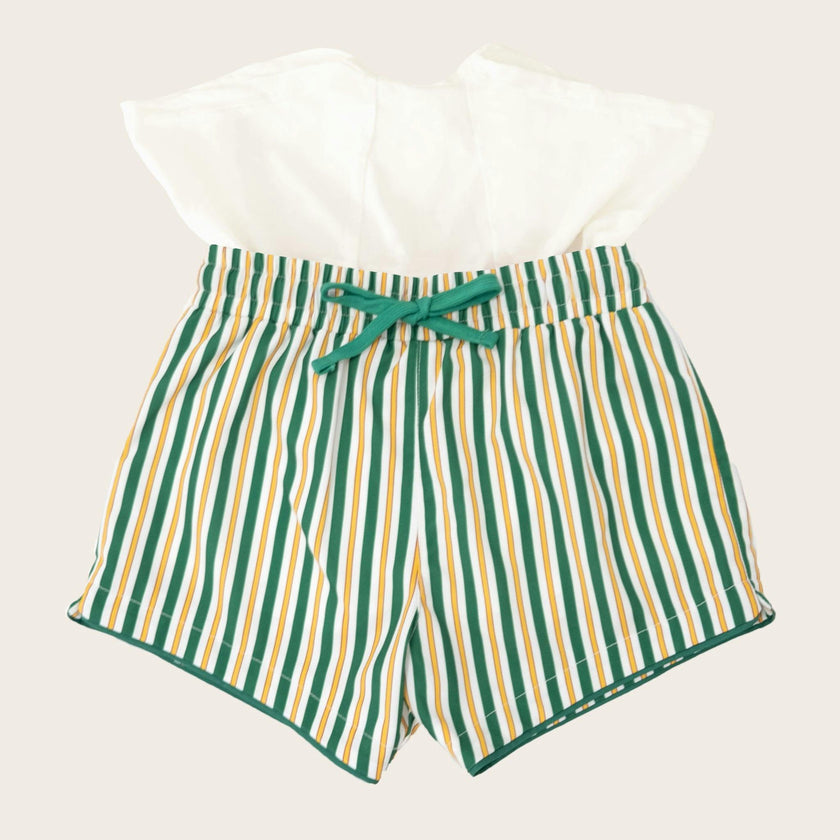 Hamptons Stripe Swim Shorts