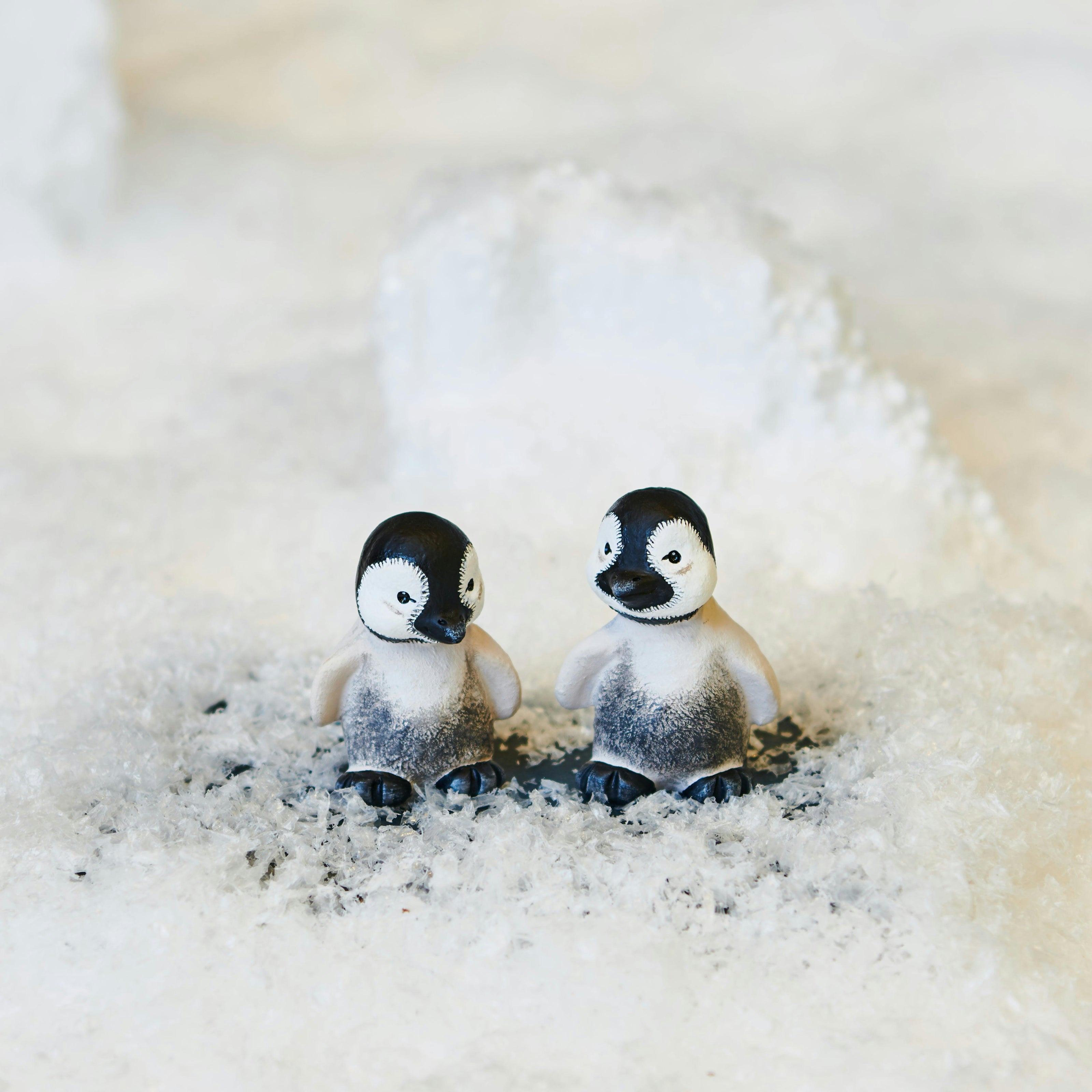 Pingo & Pjevs Baby Penguins