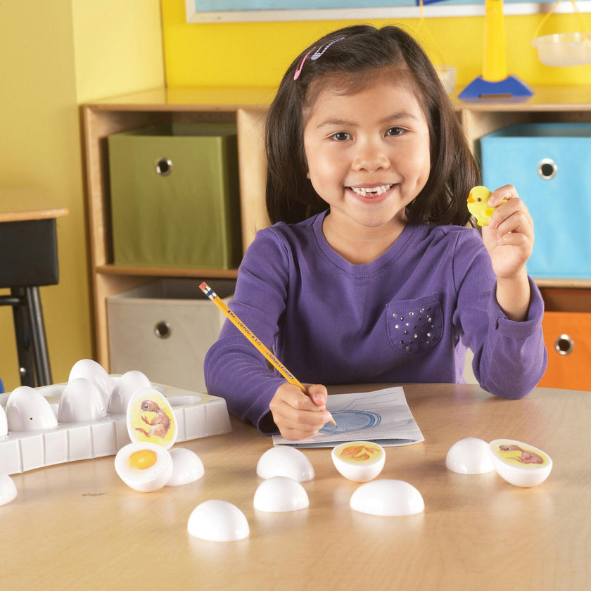 Chick Life Cycle Exploration Set
