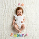 Milestone Felt Numbers in Pastel