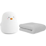 The Polaris Tricot Blanket & Nightlight