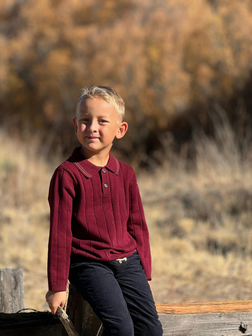 JAYDEN Burgundy Knitted Polo