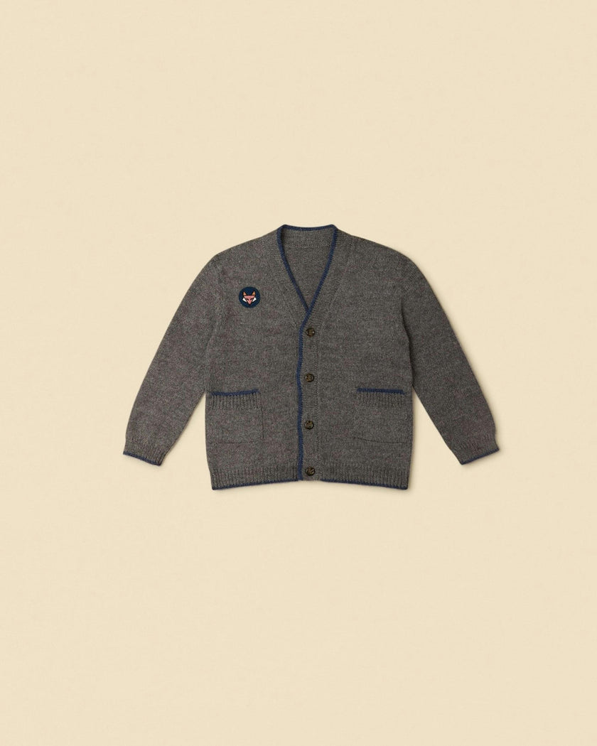 Alpaca Wild Fox Cardigan in Heather Grey