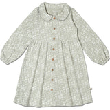 Organic Collared Dress