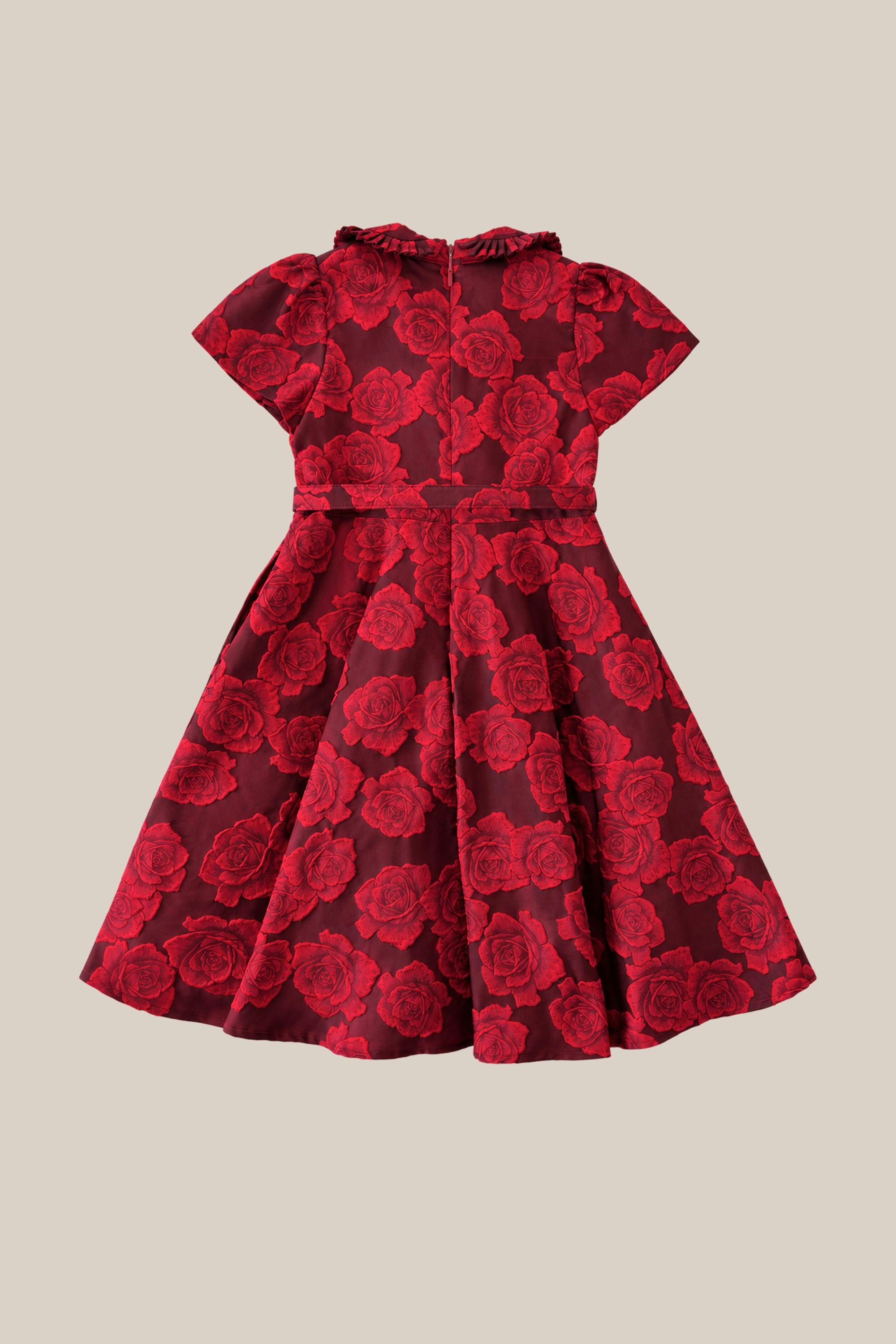 Mini Remi Dress in Vibrant Rose