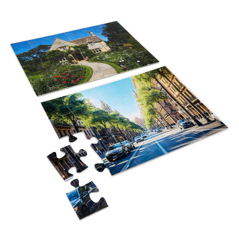 Puzzles The World In Pieces