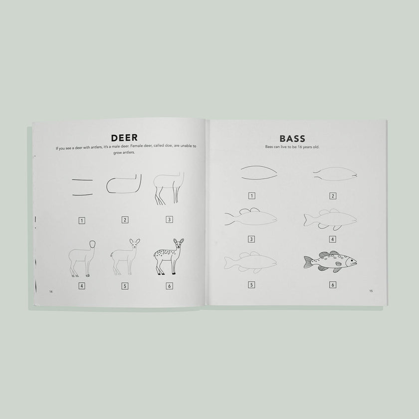 How to Draw for Kids: Mushrooms & Woodland Creatures