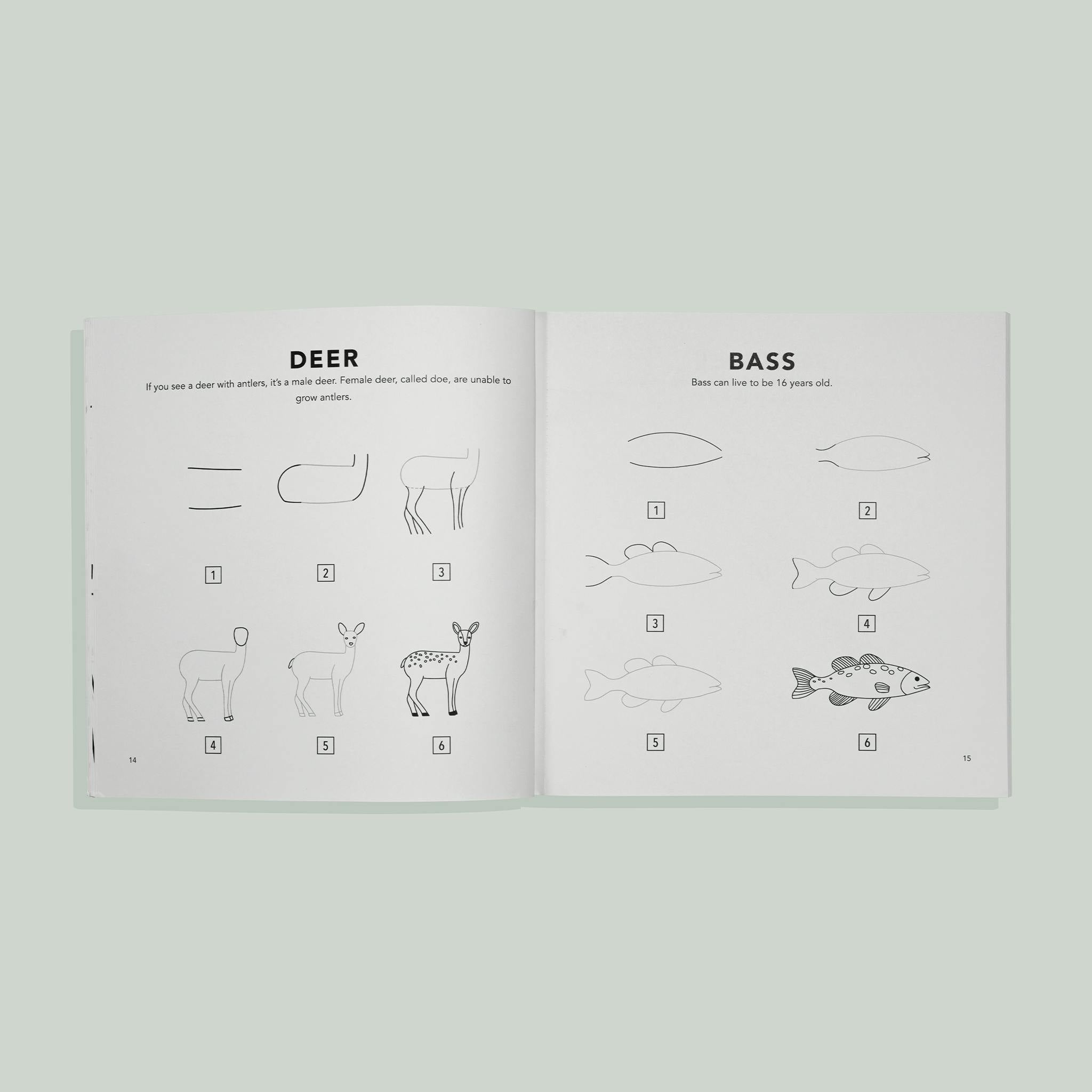 How to Draw for Kids: Mushrooms & Woodland Creatures