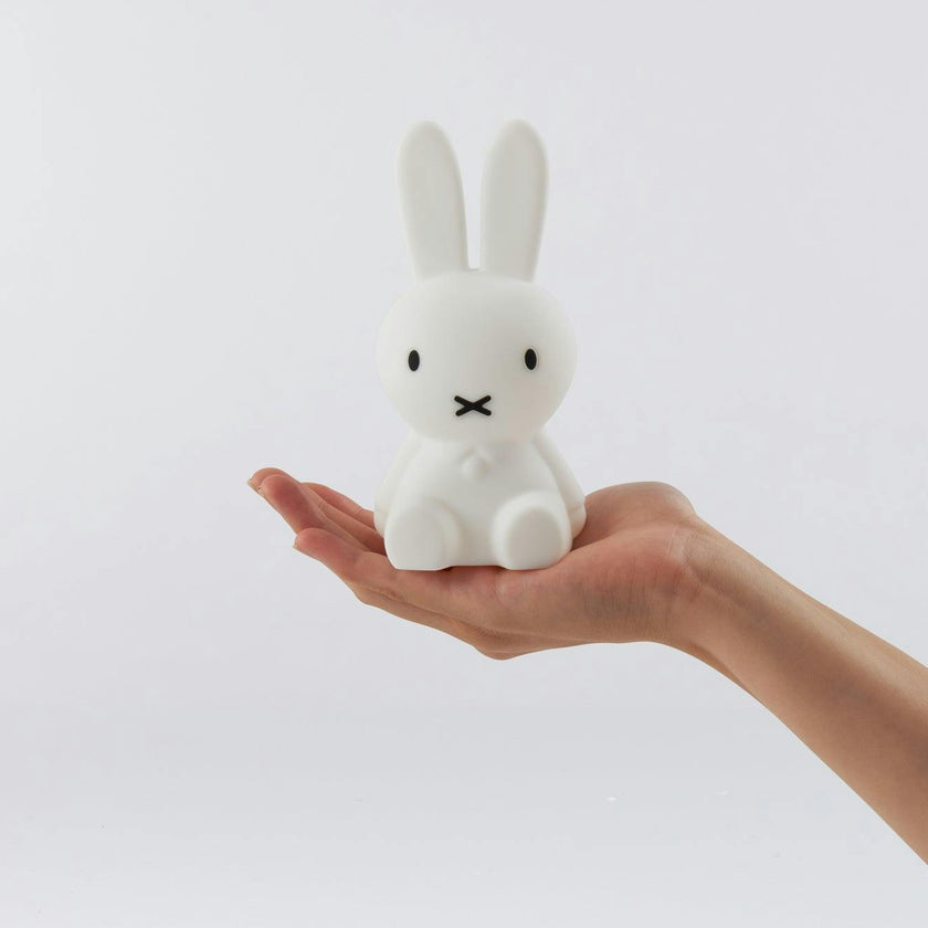 Mr Maria Miffy Lights
