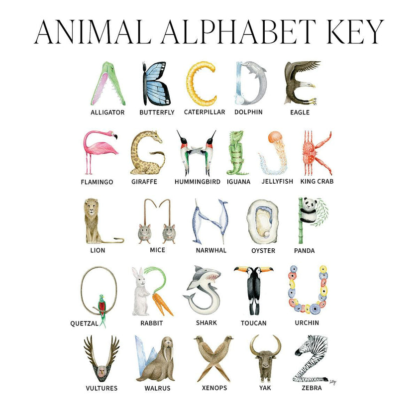 Animal Alphabet