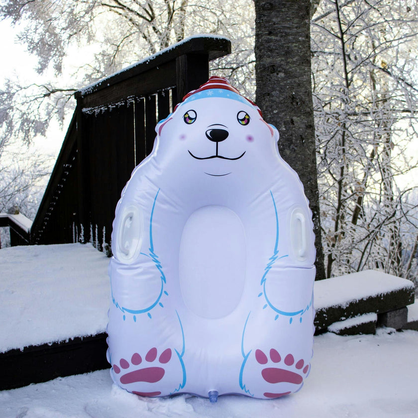 Polar Snow Sled