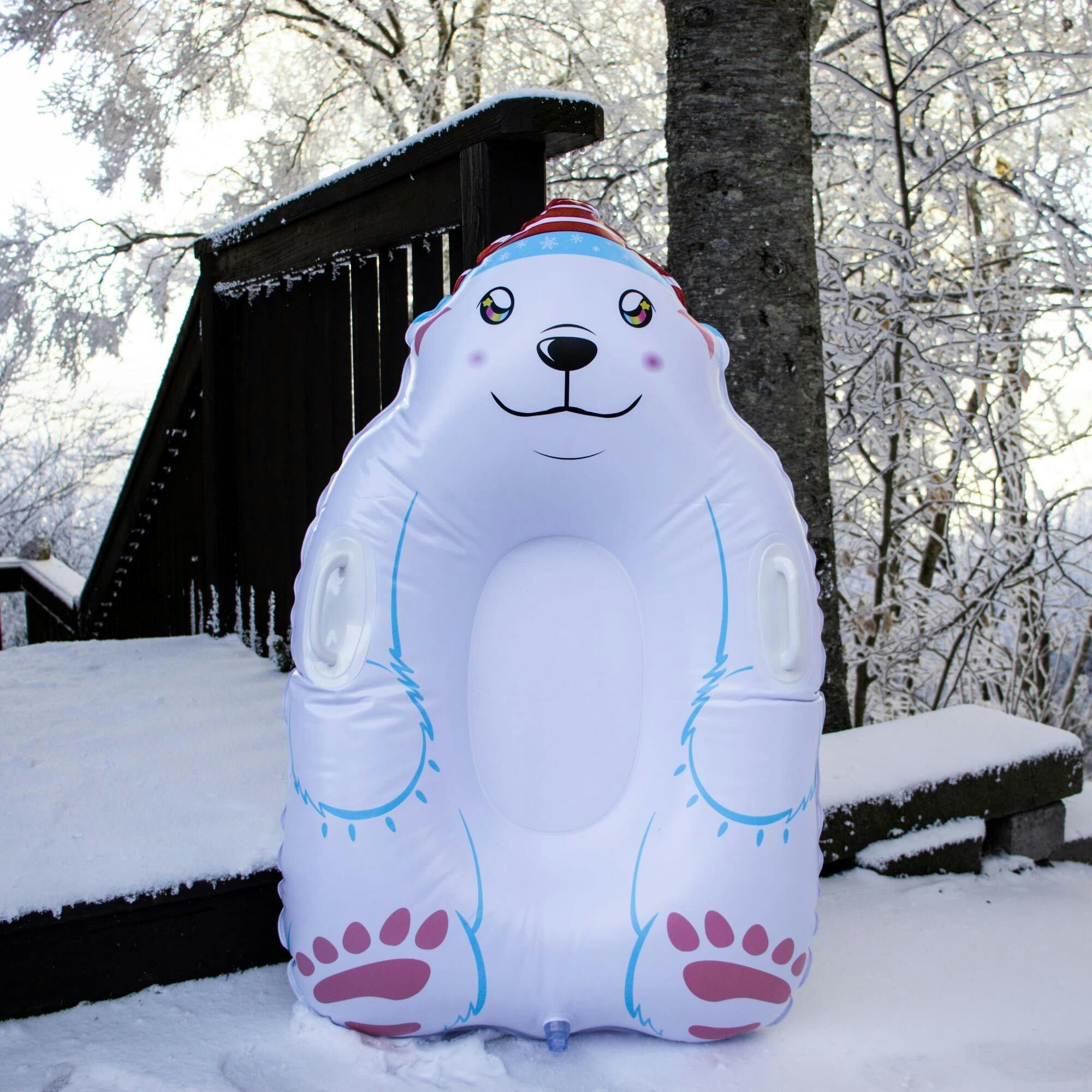 Polar Snow Sled