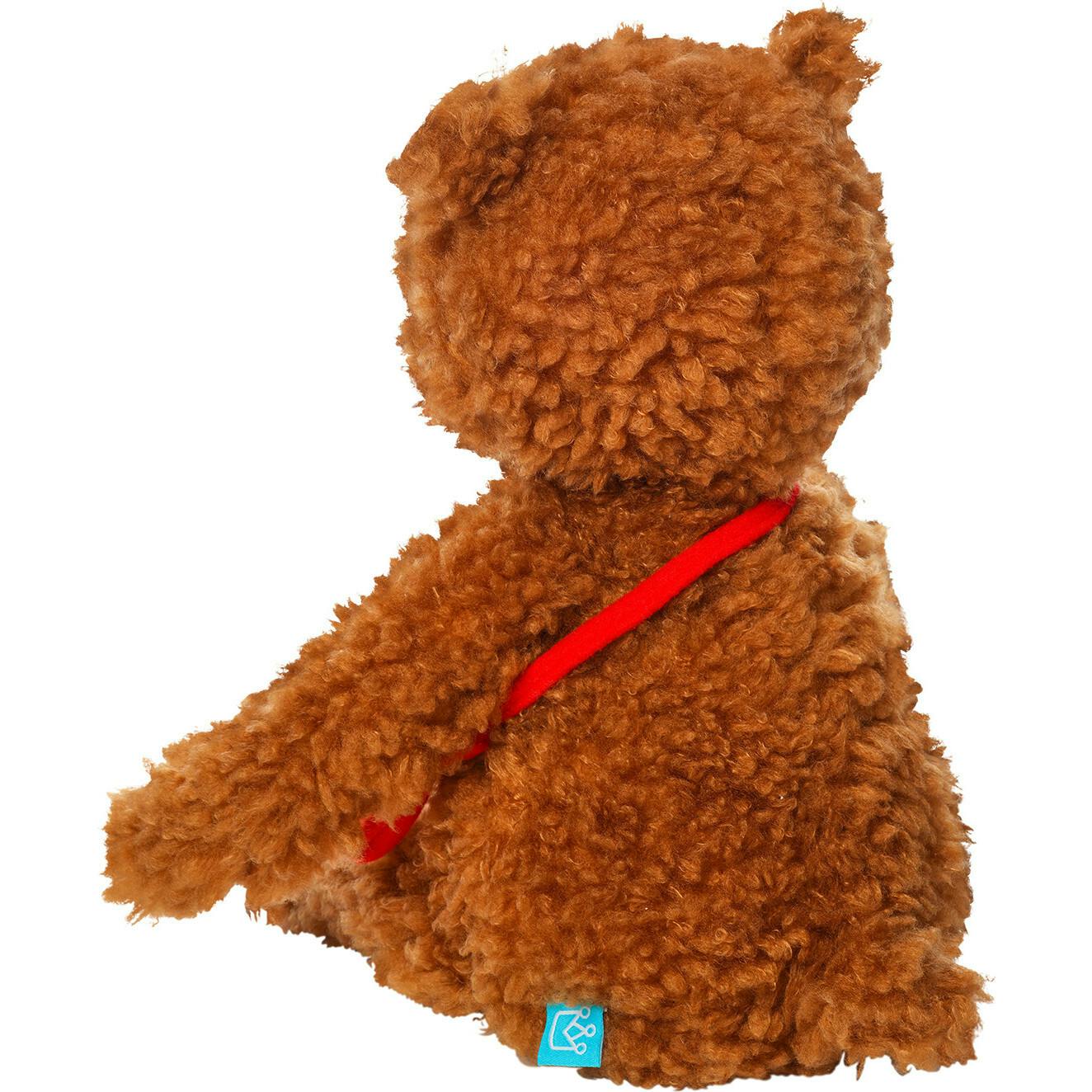 Imaginaries Bruno Bear