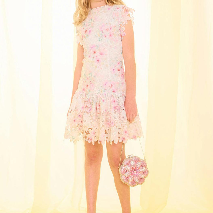 Belle Embroidered Mini Dress