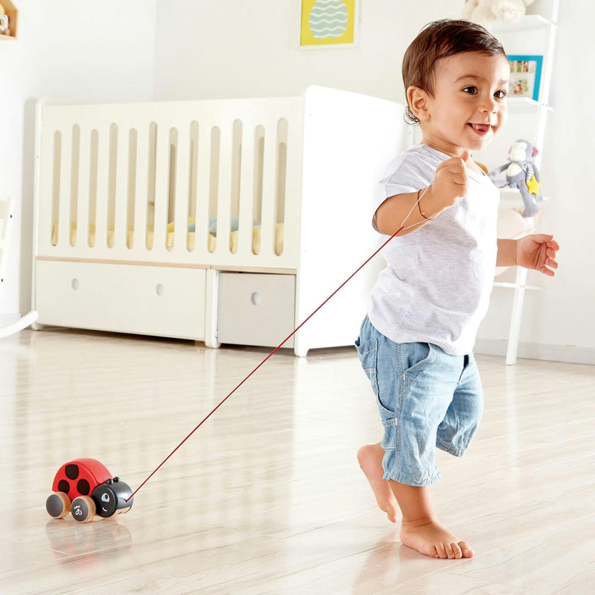 Hape: Pull Along - Red & Black