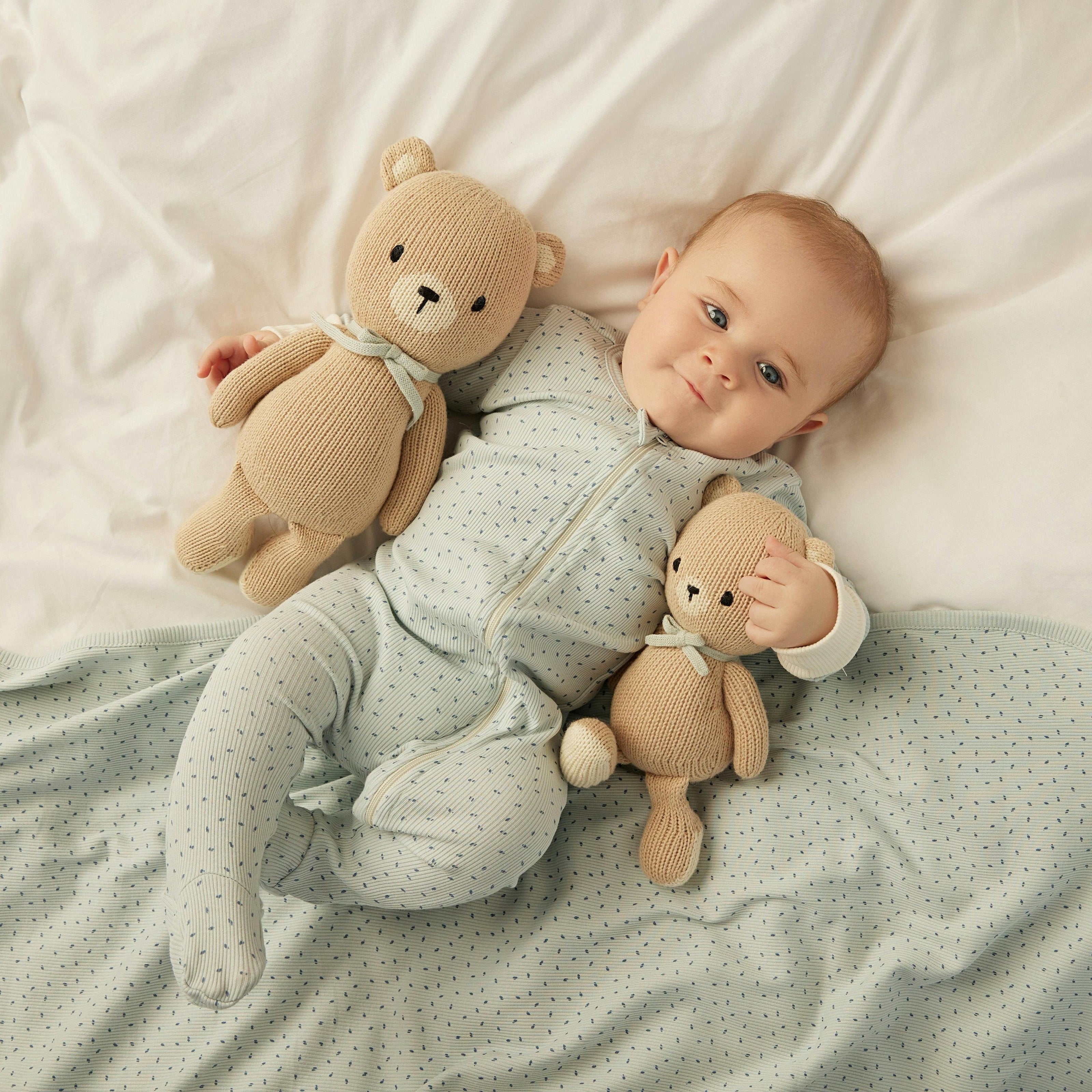 The Baby bear 8.5