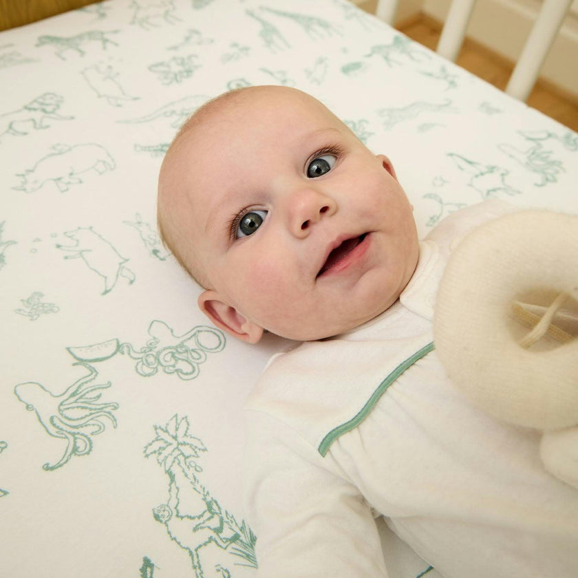 Crib Sheet
