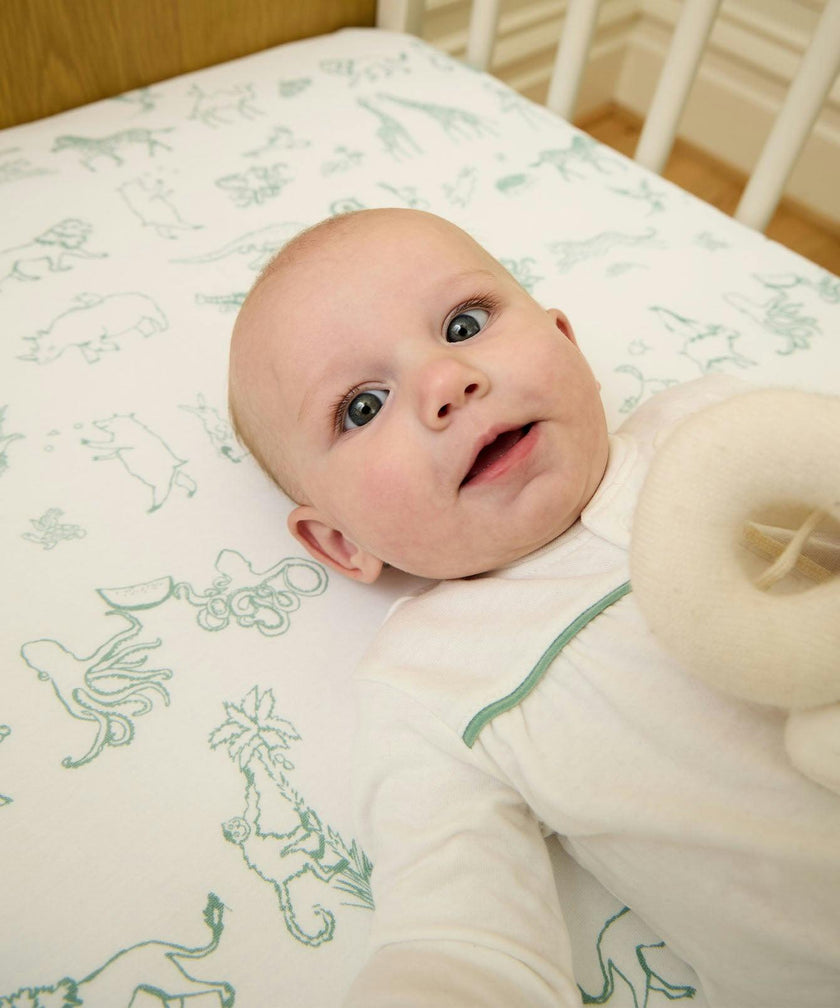 Crib Sheet