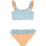 Blueberry Print Vichy Ruffle Bikini, Multi