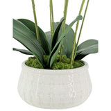 Artificial 4-Stem Phalaenopsis White Orchid