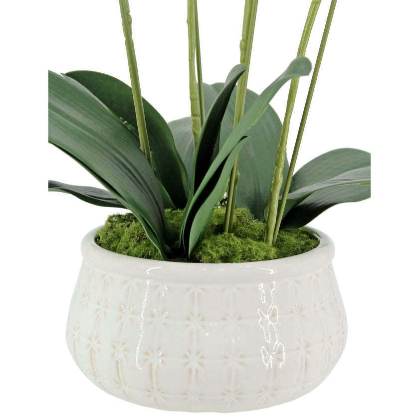 Artificial 4-Stem Phalaenopsis White Orchid