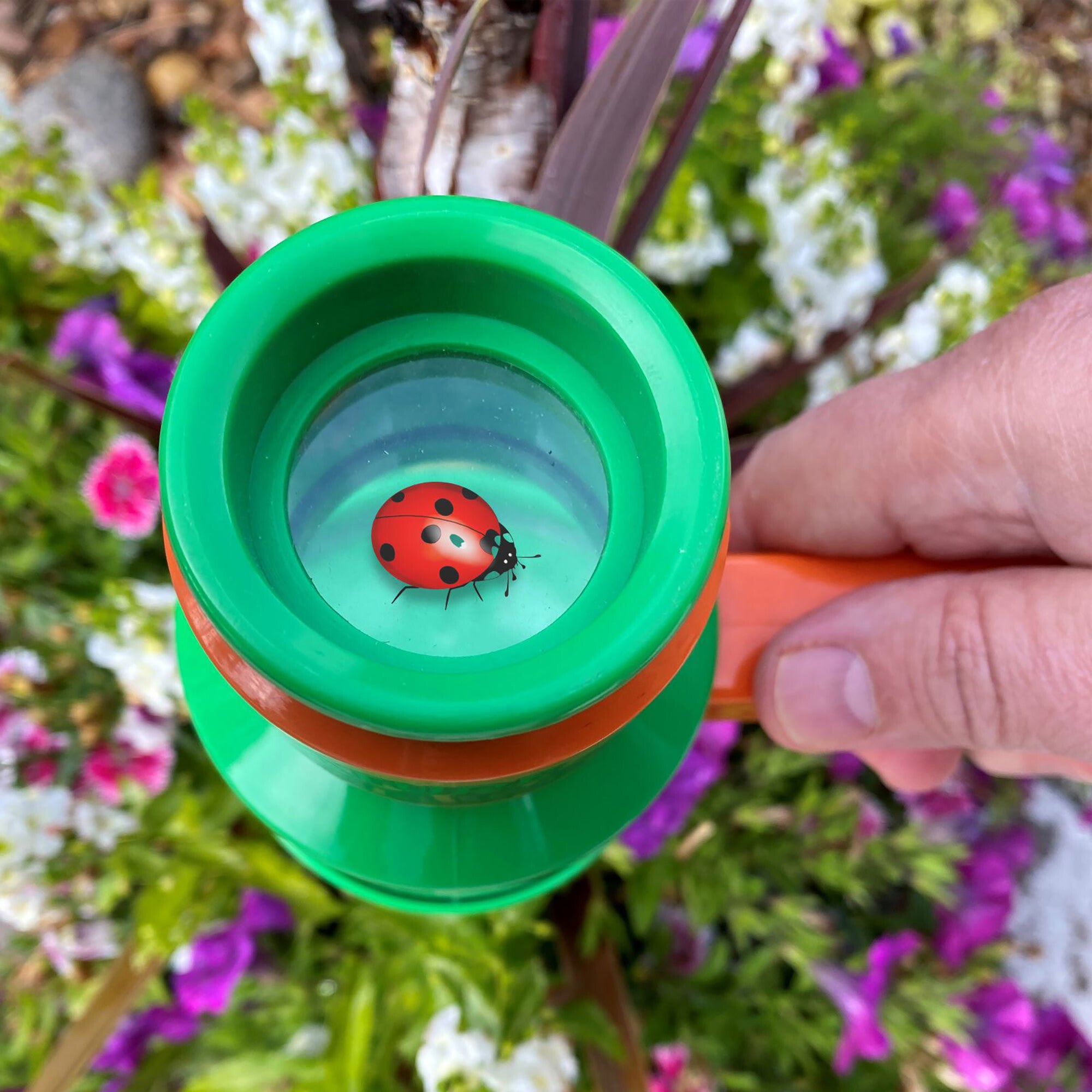 Nature Bound: Bug Catcher & Viewer