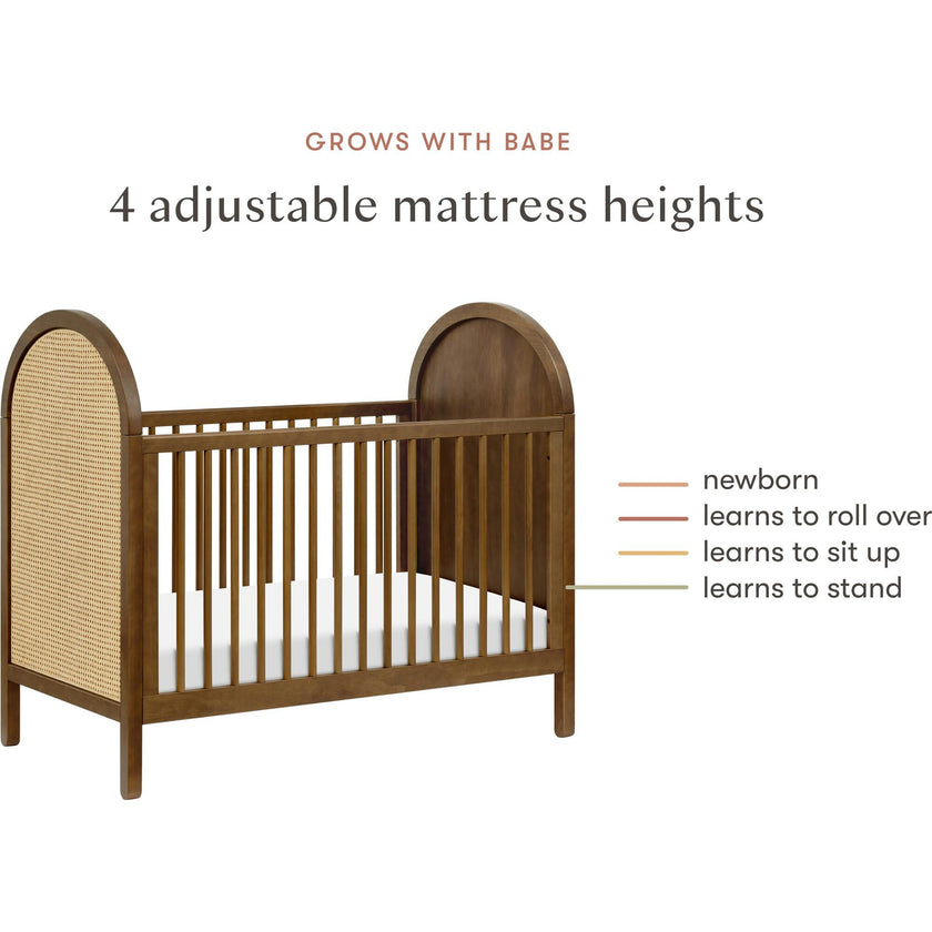 Bondi Cane 3-in-1 Convertible Crib with Toddler Bed Conversion Kit