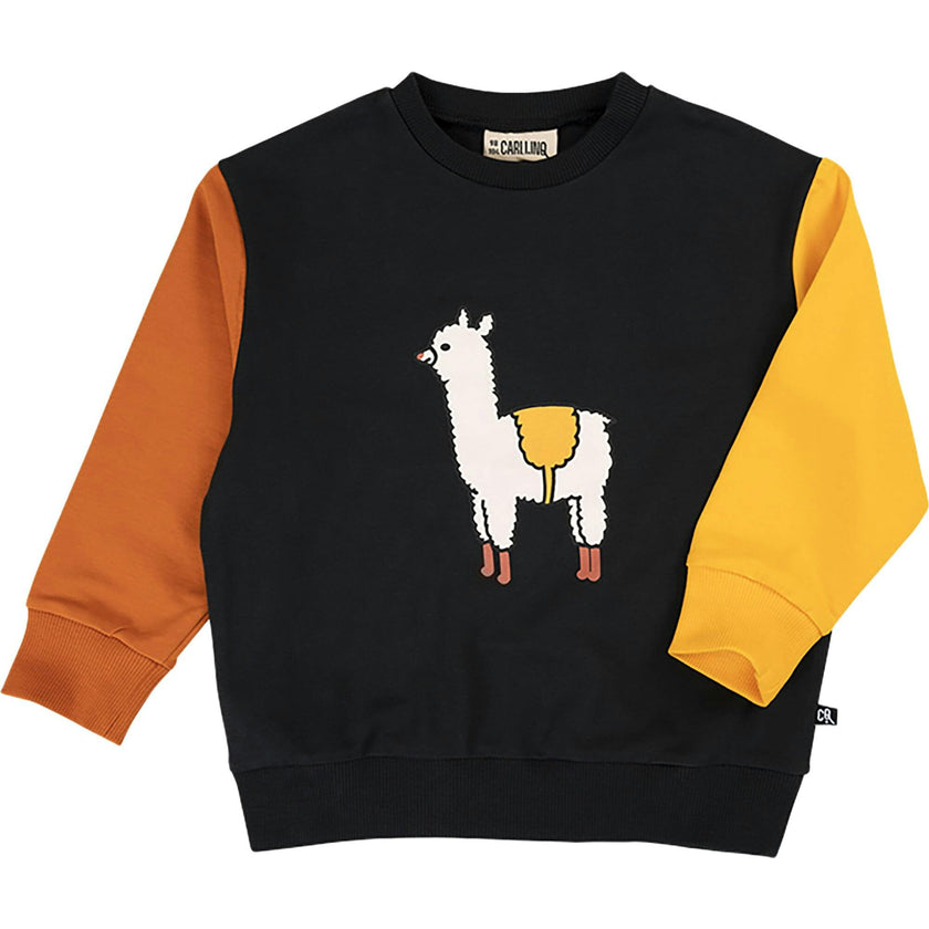 Graphic Print Crew Neck Contrast Long Sleeves Sweatshirt