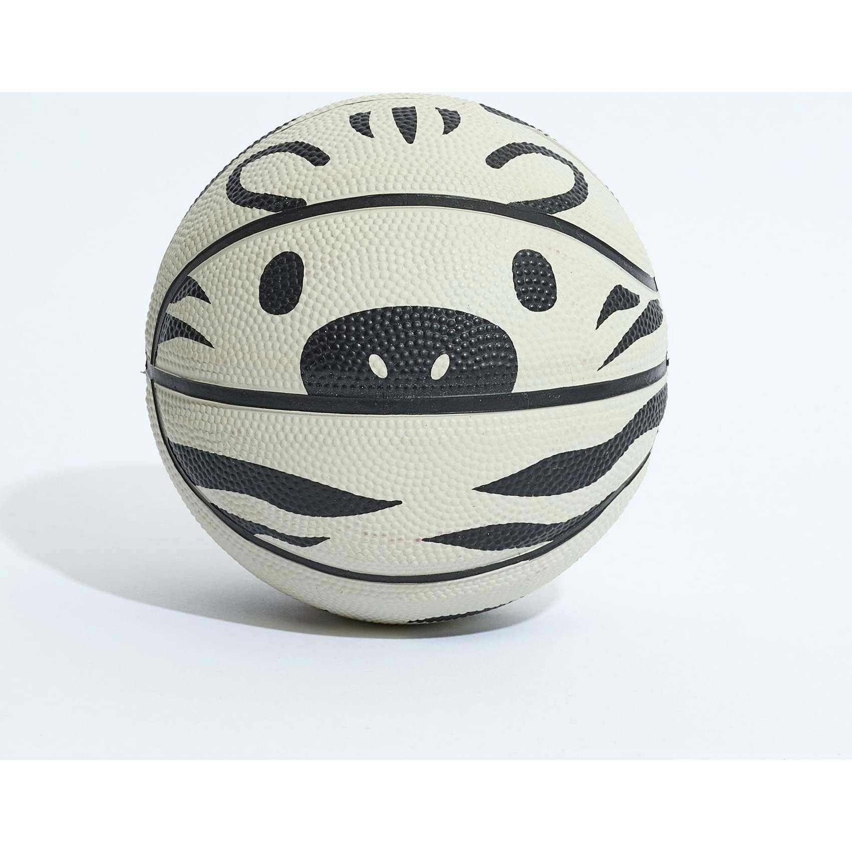 Zoe Mini Basketball (17