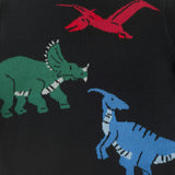 Graphic Sweater | Dinosaur Trio