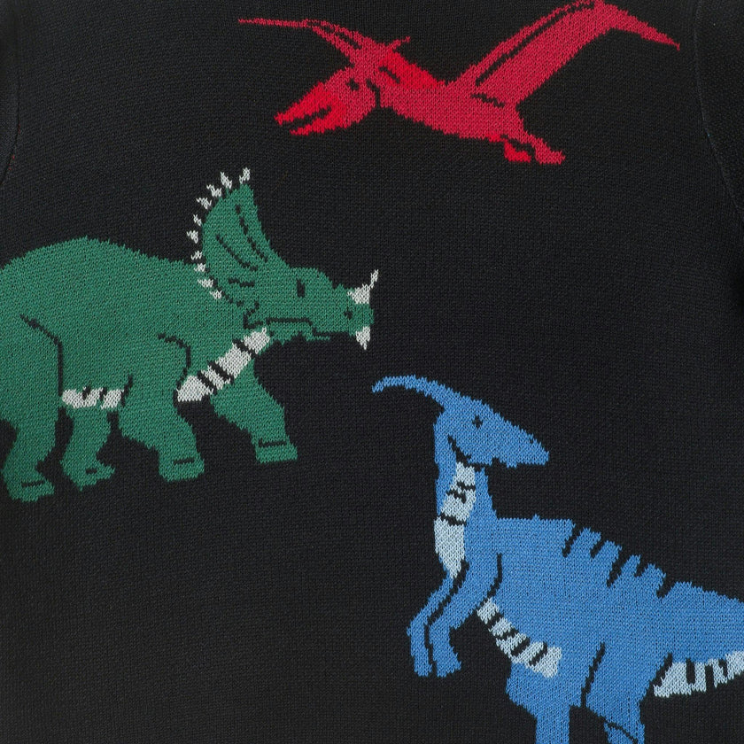 Graphic Sweater | Dinosaur Trio