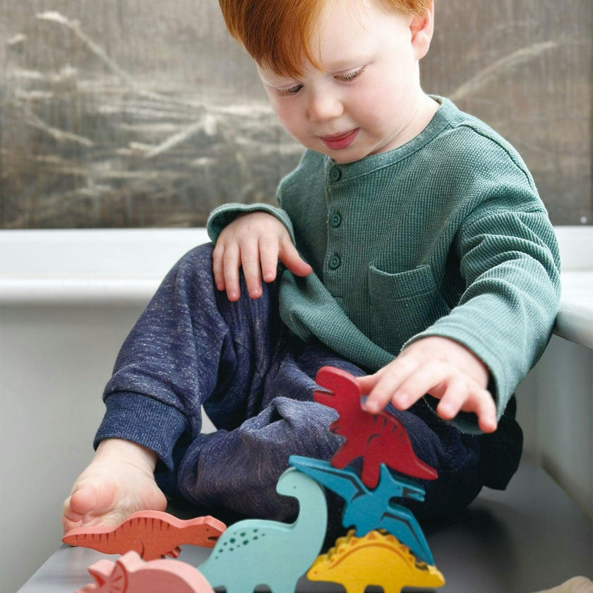 Explorer's Sorting and Stacking Bundle