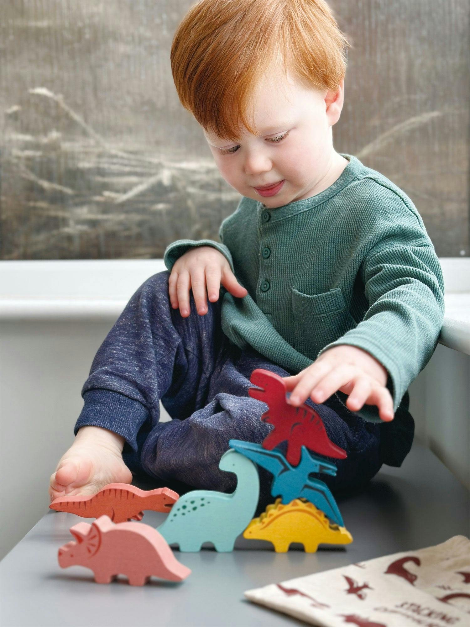 Explorer's Sorting and Stacking Bundle