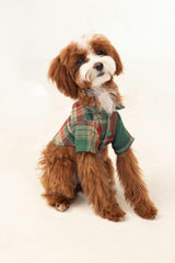 Green Plaid Dog Shirt