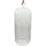 Glass Terrarium: Carefree Capsule - 2 Pack