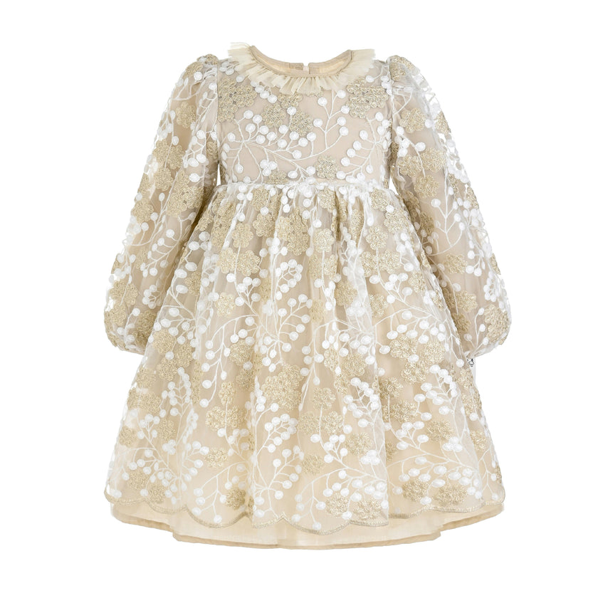 Champagne Floral Embroidered Dress