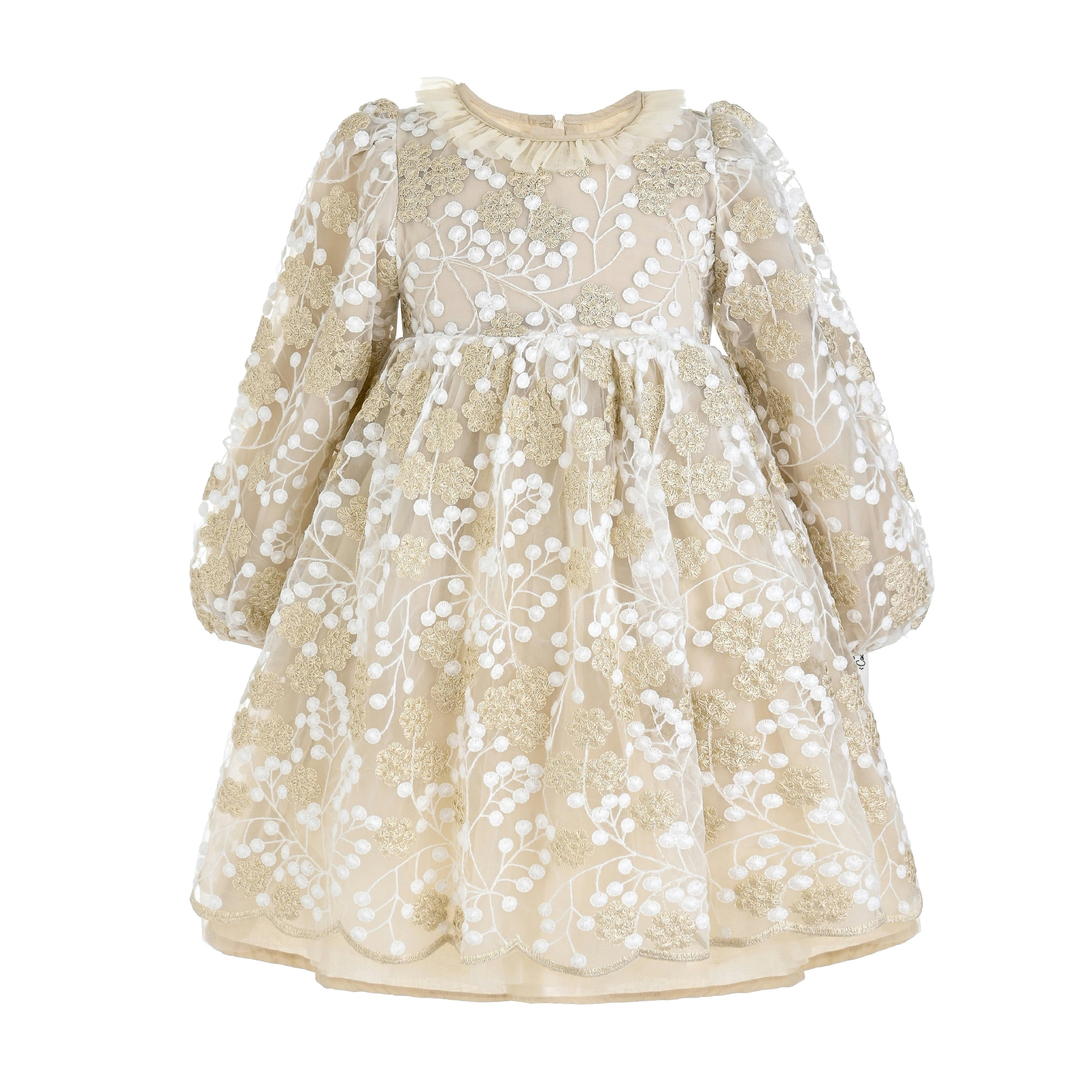 Champagne Floral Embroidered Dress