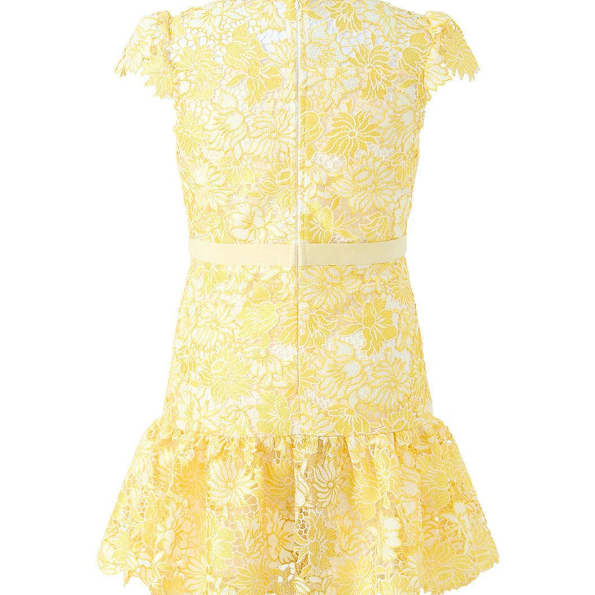 Cassandra Embroidered Mini Dress