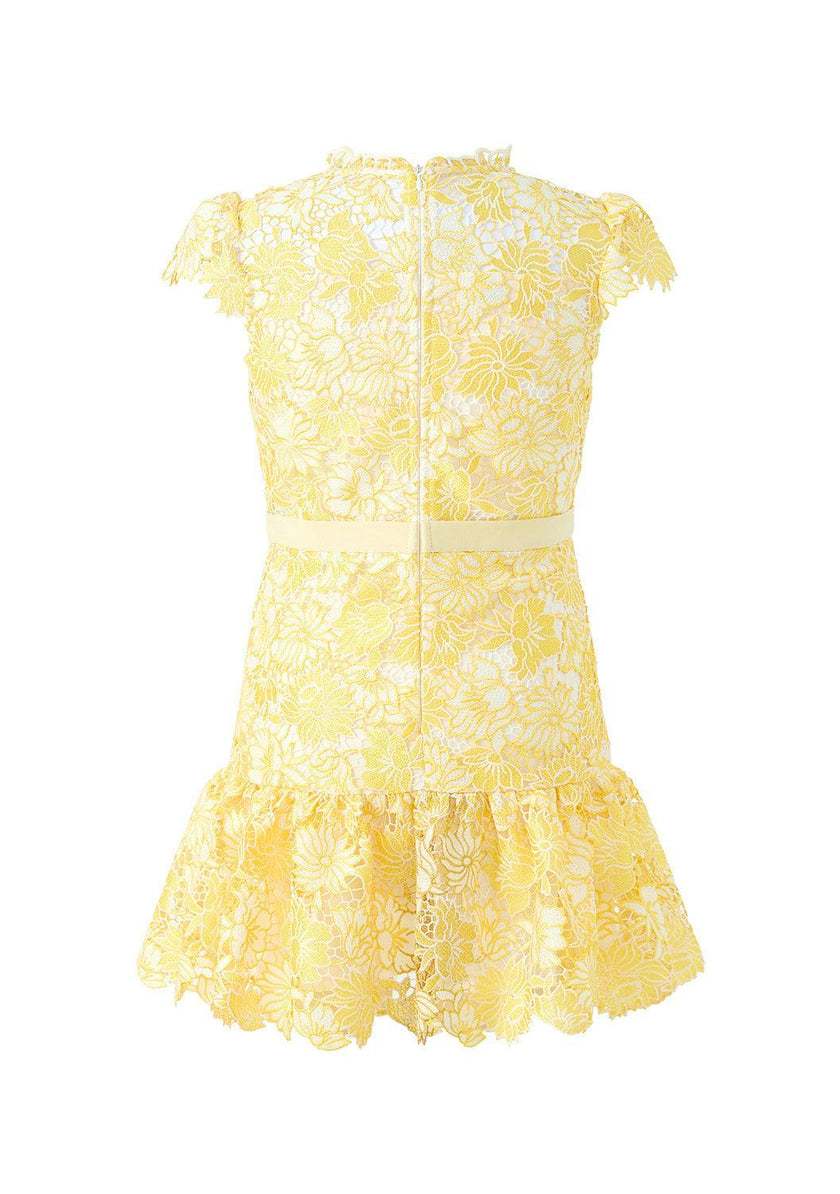Cassandra Embroidered Mini Dress