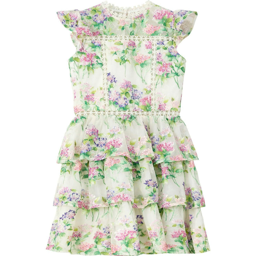 Clementine Embroidered Mini Dress