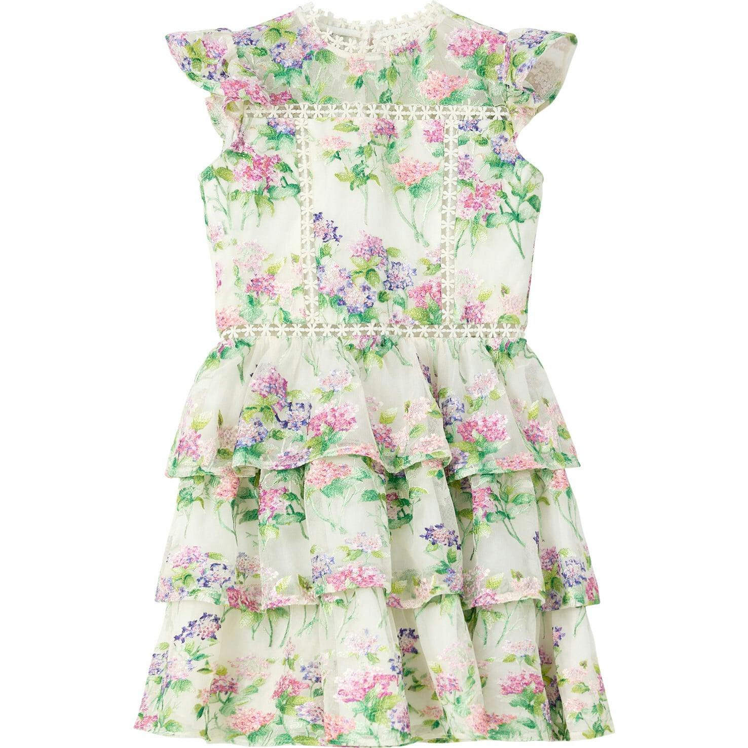 Clementine Embroidered Mini Dress